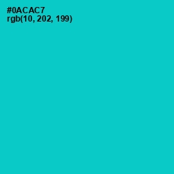 #0ACAC7 - Robin's Egg Blue Color Image