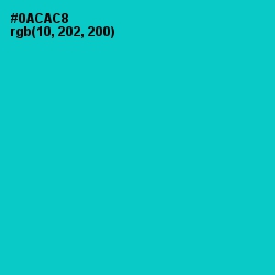 #0ACAC8 - Robin's Egg Blue Color Image
