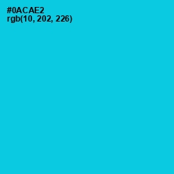 #0ACAE2 - Robin's Egg Blue Color Image