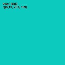 #0ACBBD - Caribbean Green Color Image