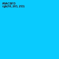 #0ACBFD - Bright Turquoise Color Image