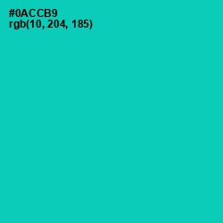 #0ACCB9 - Caribbean Green Color Image