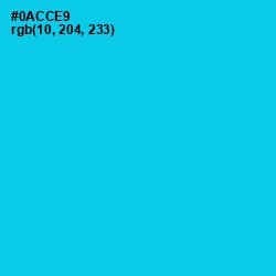 #0ACCE9 - Bright Turquoise Color Image