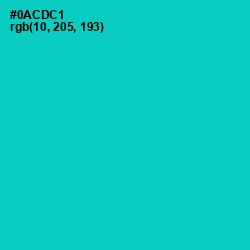 #0ACDC1 - Robin's Egg Blue Color Image