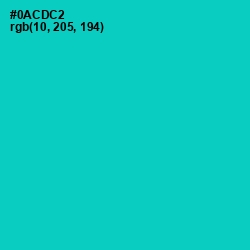 #0ACDC2 - Robin's Egg Blue Color Image