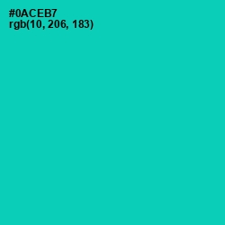 #0ACEB7 - Caribbean Green Color Image