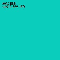 #0ACEBB - Caribbean Green Color Image