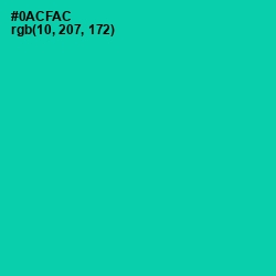 #0ACFAC - Caribbean Green Color Image