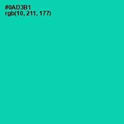 #0AD3B1 - Caribbean Green Color Image