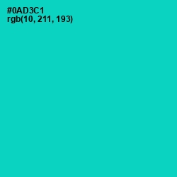 #0AD3C1 - Robin's Egg Blue Color Image