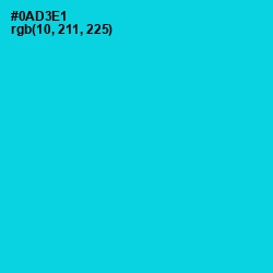 #0AD3E1 - Bright Turquoise Color Image