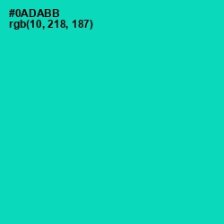 #0ADABB - Caribbean Green Color Image