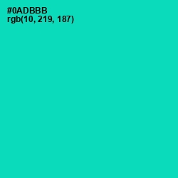 #0ADBBB - Caribbean Green Color Image