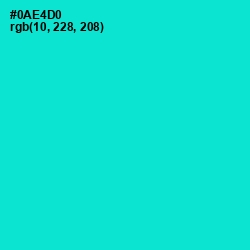 #0AE4D0 - Bright Turquoise Color Image