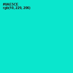 #0AE5CE - Bright Turquoise Color Image