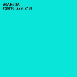 #0AE5DA - Bright Turquoise Color Image