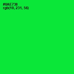 #0AE738 - Green Color Image