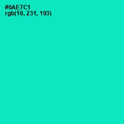 #0AE7C1 - Bright Turquoise Color Image