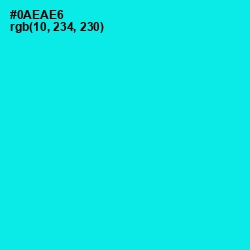 #0AEAE6 - Cyan / Aqua Color Image