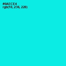 #0AECE4 - Cyan / Aqua Color Image