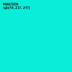 #0AEDD9 - Bright Turquoise Color Image
