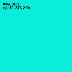#0AEDDB - Bright Turquoise Color Image