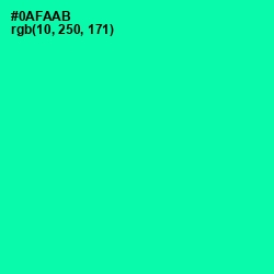 #0AFAAB - Caribbean Green Color Image