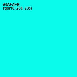 #0AFAEB - Cyan / Aqua Color Image