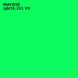 #0AFB5B - Malachite Color Image