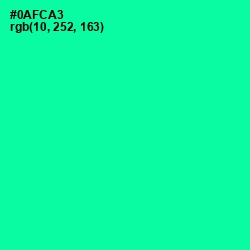 #0AFCA3 - Caribbean Green Color Image