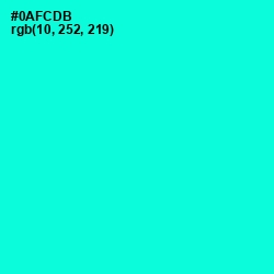 #0AFCDB - Bright Turquoise Color Image