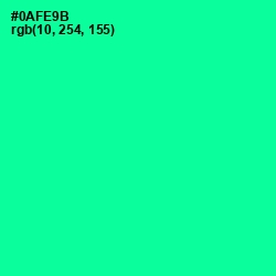 #0AFE9B - Caribbean Green Color Image