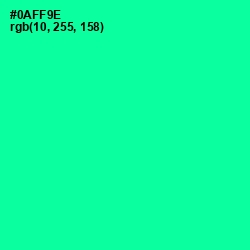 #0AFF9E - Caribbean Green Color Image