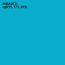 #0BADCD - Cerulean Color Image