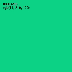 #0BD285 - Caribbean Green Color Image