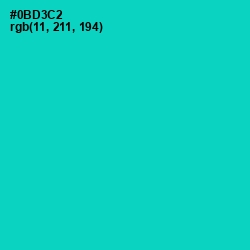 #0BD3C2 - Robin's Egg Blue Color Image