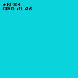 #0BD3DB - Robin's Egg Blue Color Image