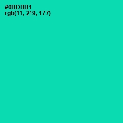 #0BDBB1 - Caribbean Green Color Image