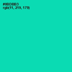 #0BDBB3 - Caribbean Green Color Image