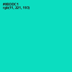#0BDDC1 - Robin's Egg Blue Color Image