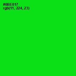 #0BE017 - Green Color Image