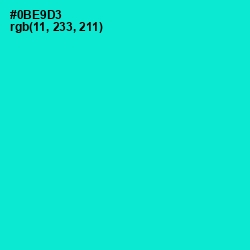 #0BE9D3 - Bright Turquoise Color Image