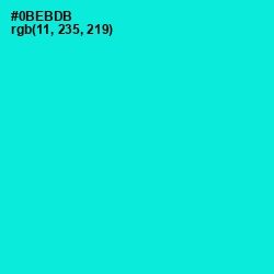 #0BEBDB - Bright Turquoise Color Image