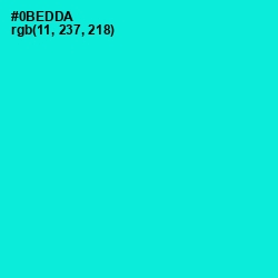 #0BEDDA - Bright Turquoise Color Image