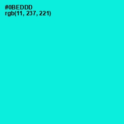 #0BEDDD - Bright Turquoise Color Image