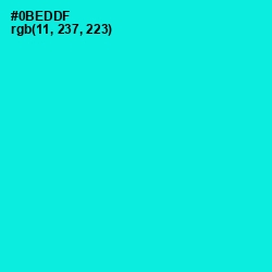 #0BEDDF - Bright Turquoise Color Image