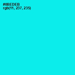 #0BEDEB - Cyan / Aqua Color Image