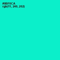 #0BF0CA - Bright Turquoise Color Image