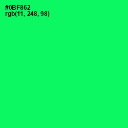 #0BF862 - Spring Green Color Image