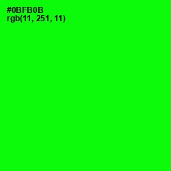 #0BFB0B - Green Color Image